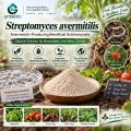 مسحوق Streptomyces avermitilis Microbial لإدارة التربة ومنطقة الجذر