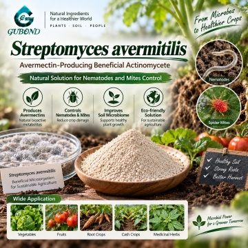 مسحوق Streptomyces avermitilis Microbial لإدارة التربة ومنطقة الجذر