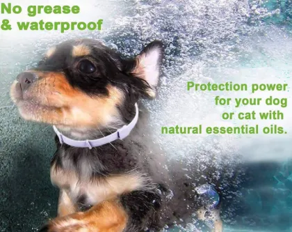 Flea and Tick Prevention Dog Collar