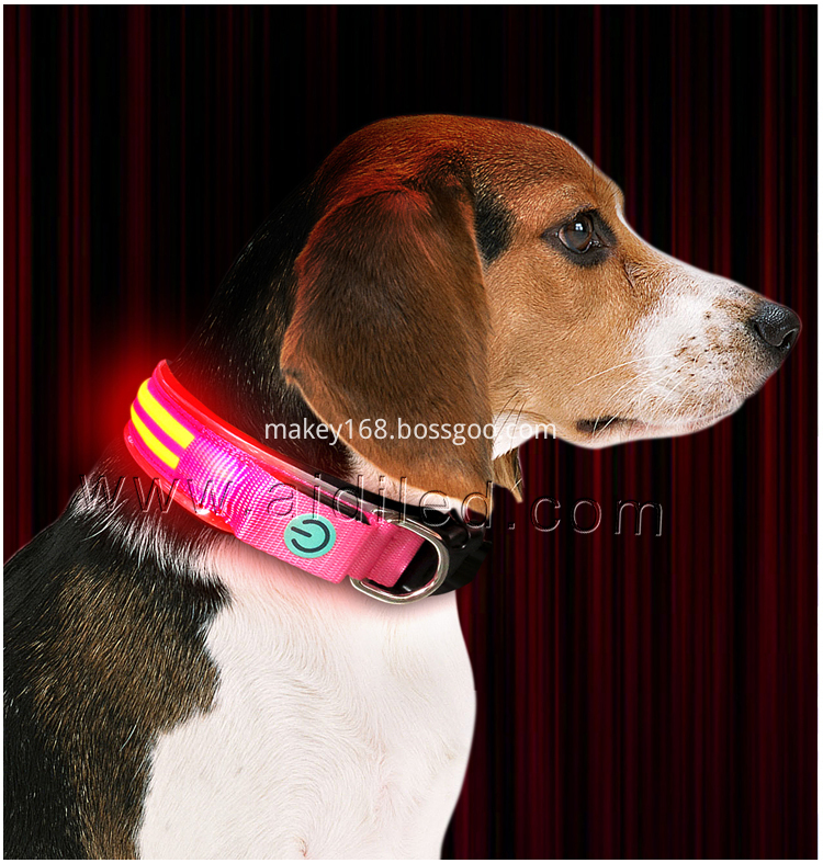 Nighttime Dog Collar