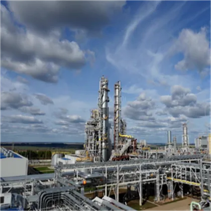 Hot sale ginseng extract ginseng powder