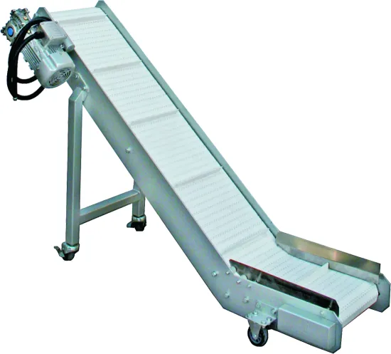 Customized High-Efficient Adjustable Food Grade Belt Conveyor System