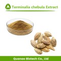 Terminalia Extrakt/Terminalia Chebula Extraktpulver