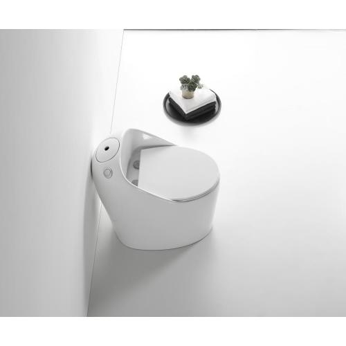 Ceramic WC Toilet with Soft Closing Seat Cover