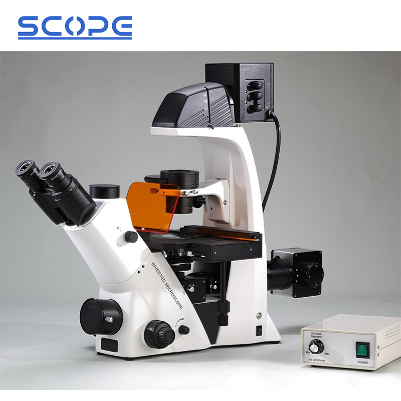 Fl Microscope Bds500-fl Inverted Fluorescence Microscope With Trinocular Head 40x ...