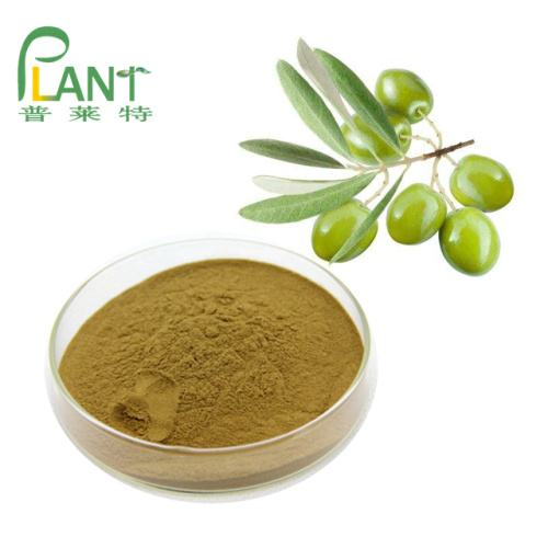 Extrait végétal naturel extrait d&#39;olive feuille oleuropéine 40%