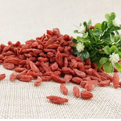 2017 Fresh Feral Organic Goji Berries