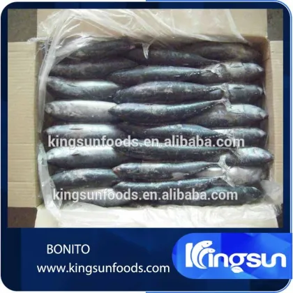 Frozen Bonito Fish
