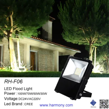 Epister Chip Meanwell Driver LED Flood Light
