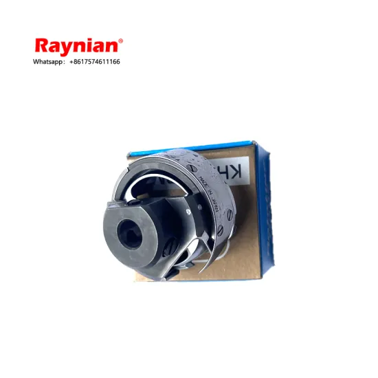 Professional Raynian High-Speed Single Needle Computer Pattern Sewing Machine with Special Rotary Hook and Saswen Spin Technology for Flat Seams