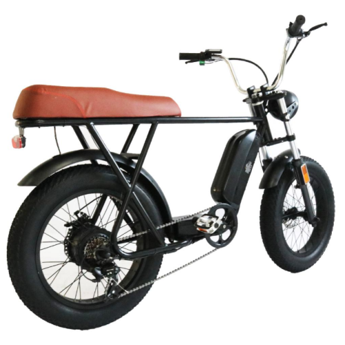 Moped Cruiser Kostenloser Versand Elektrisches Fahrrad