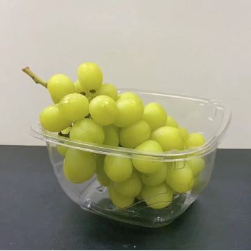 Disposable Plastic Fresh Fruit Container