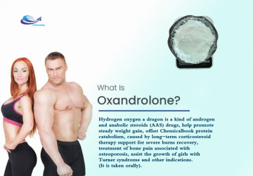 Oxandrolone steroid powder CAS number:53-39-4