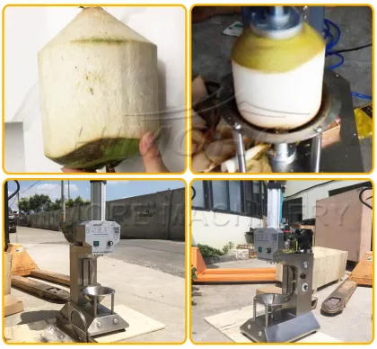 China Electric Coconut Peeler for Green Coconuts