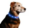 USB oplaadbare Night Safety LED Pet Necklace Collar