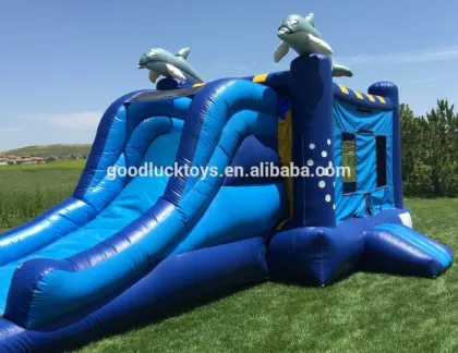 bouncy castle water slide combo