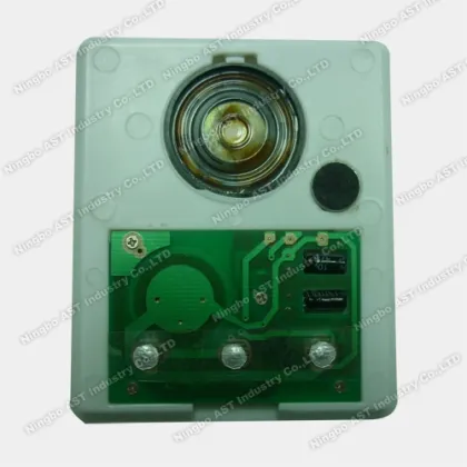 Sound Device Sound Chip Recordable Sound Module for Toys