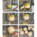 Kokosnussschaltmaschine Tender Kokosnuss -Trimmmaschine