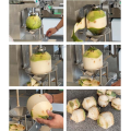 Coconut Peeling Machine Tender Coconut Trimming Machine