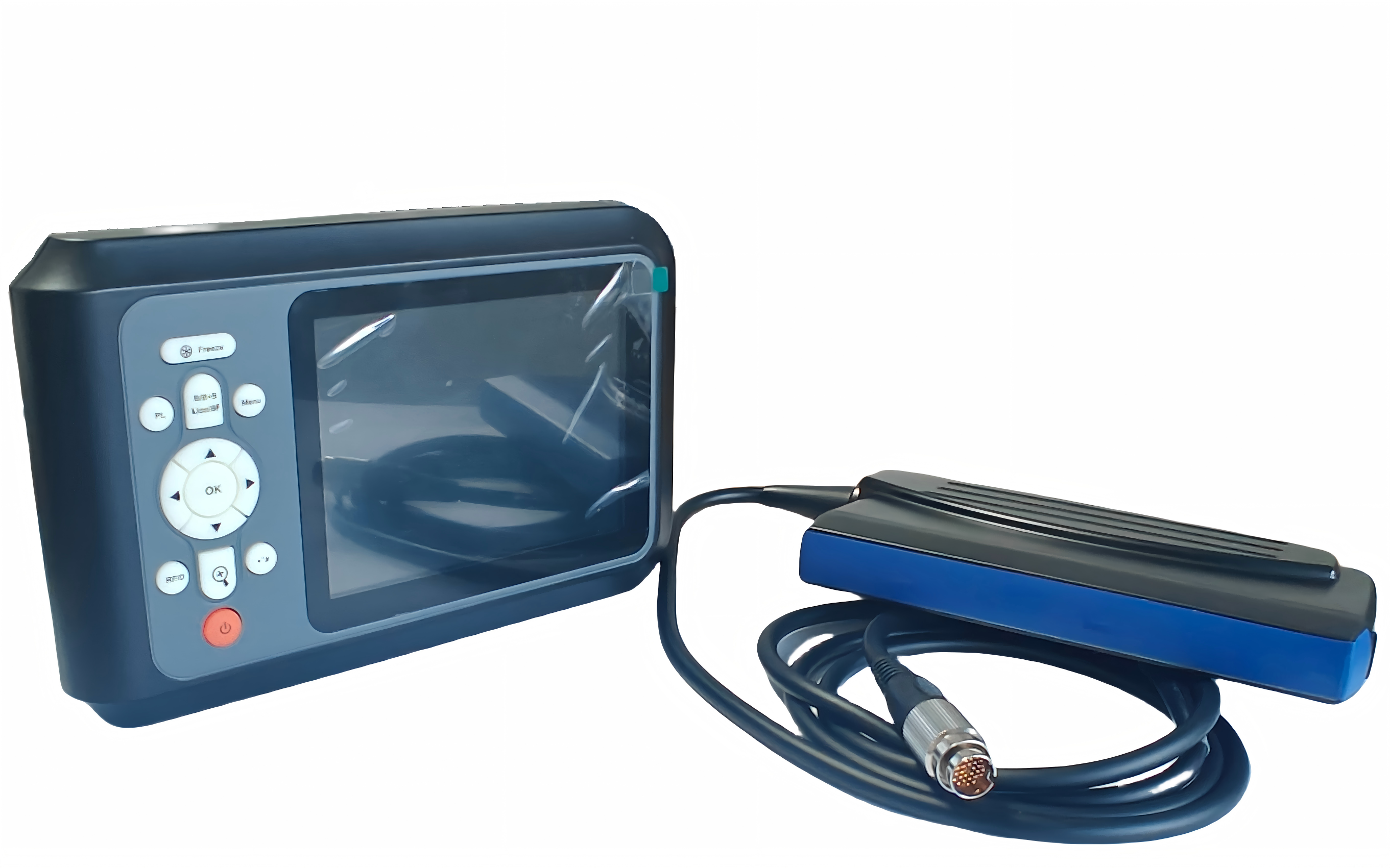 ultrasonography in animals