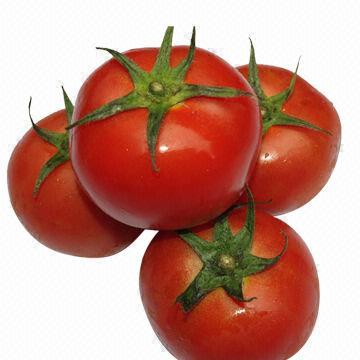 Fresh Tomatoes, Highly-nutritive