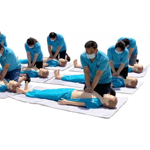 Acls Training Group CPR assessment system Supplier