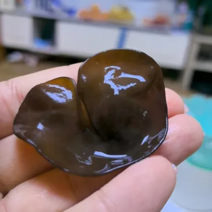 Black Bagged Wood Ear Fungus