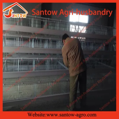 Hot sale poultry farms used chicken layer cages