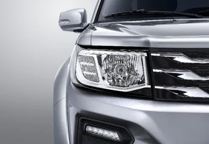 RICH light duty pickup truck