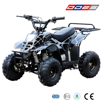 ATV 100cc/125cc Quad for Kids (LZ110-3)
