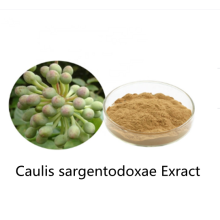 Buy online active ingredients Caulis sargentodoxae powder