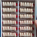 Juego completo de dientes de resina de dos capas de alta calidad