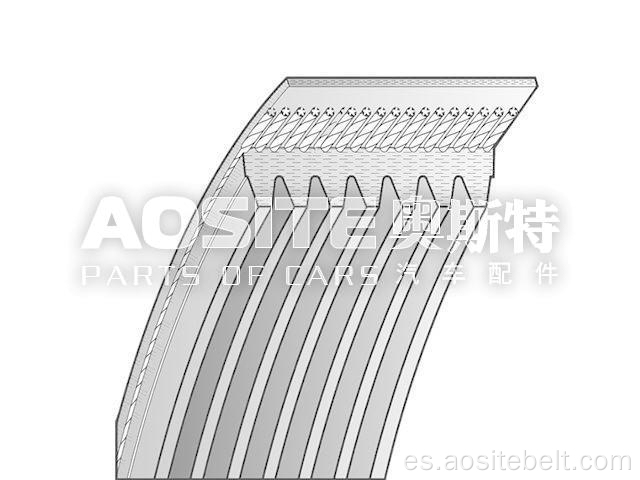 Correa v-ribed para Mercedes Benz Sprinter 3