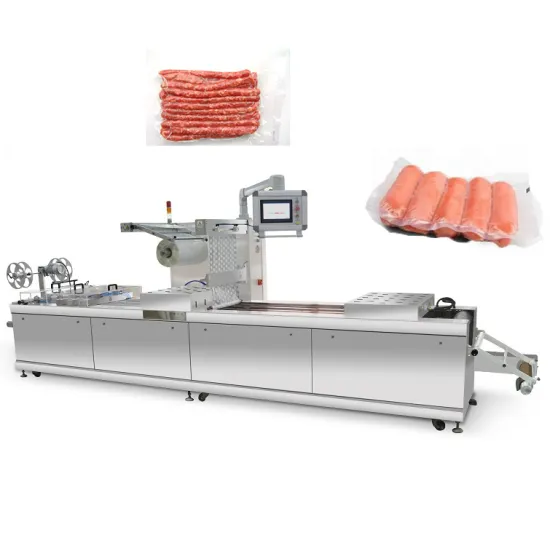 Continuous Rolling Conveyor Dry Fish Vacuum Packaging Machine: Efficient Solutions for Food Preservation