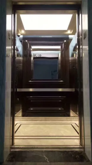 High Quality And Cheap Price Passenger Elevator