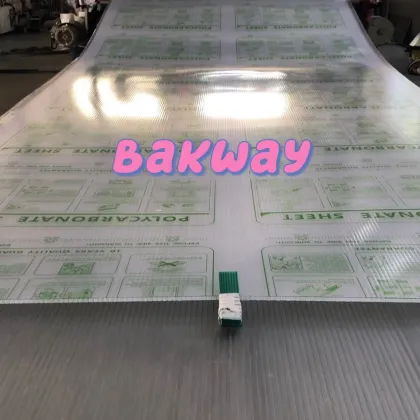 Colored Hollow Polycarbonate Sheets Sunshield Twin Wall Polycarb