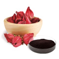High Quality Anthocyanin Roselle Extract Powder