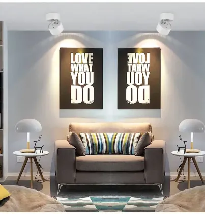 LiteHome Series Aluminium Ceiling Surface Mounted LED Downlight & Spotlight