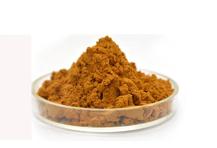 Witch Hazel Extract for Natural Skin Care