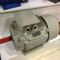 LANDTOP 15KW 3 Phase Electric Motor Sale Price