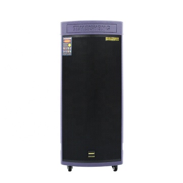 Temeisheng 15 Inch Wireless Portable Karaoke DJ Speaker System