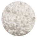 /msite/products/detail/productid/61973701/id/1360555.html