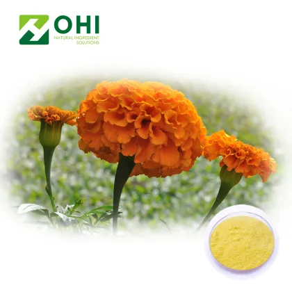Calendula extract lutein 5%-90%