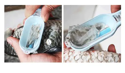 Practical Fish Scale Scraper - Kitchen Accessories