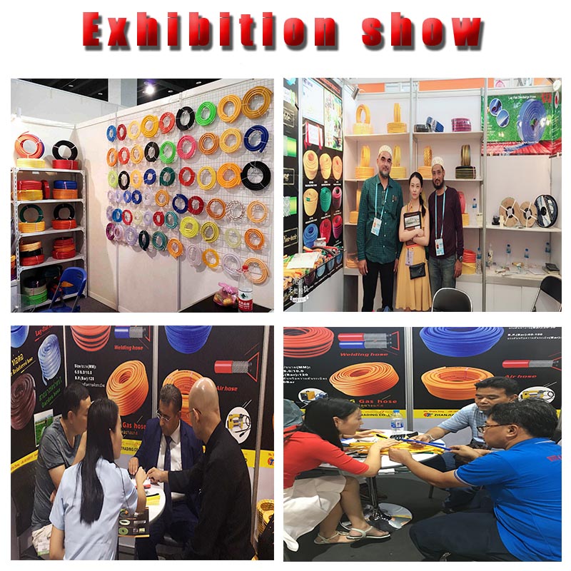 นิทรรศการแสดง Exhibition Show