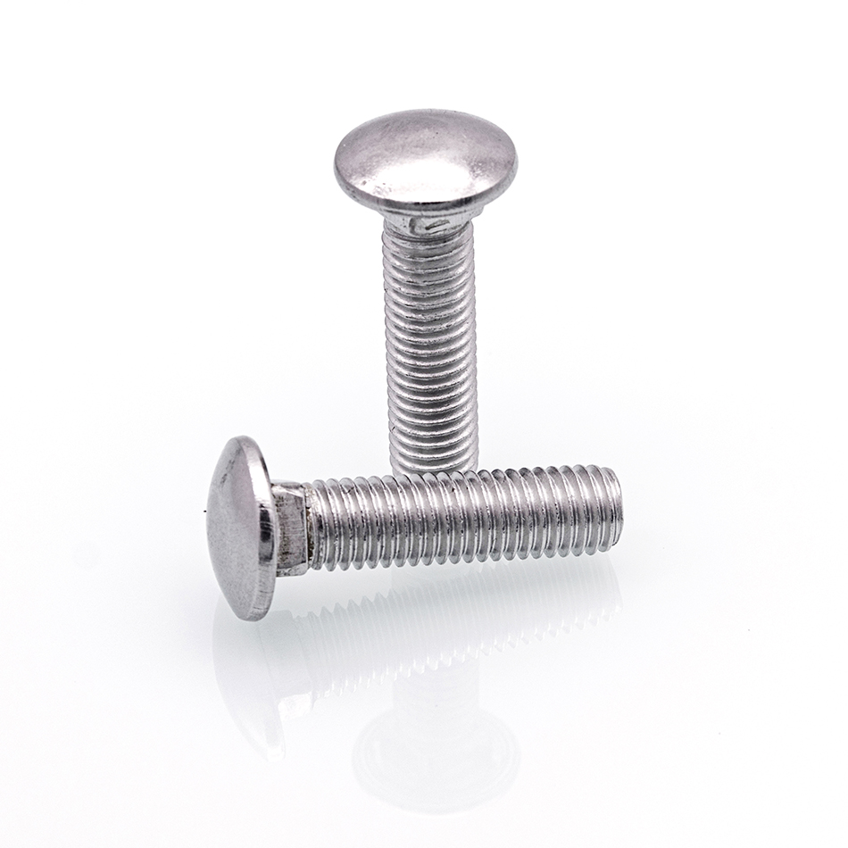 M4 To M12 304 Stainless Steel Cup Head Square Neck Bolts – Carriage Bolt Assortment