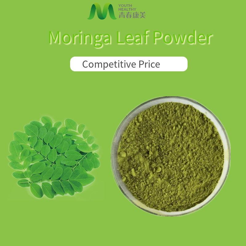 Buy Pure Moringa Leaf Powder