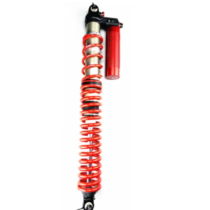 Advanced Desert Racing Coilover Suspension with Eibach Springs - 4-Way Adjustable