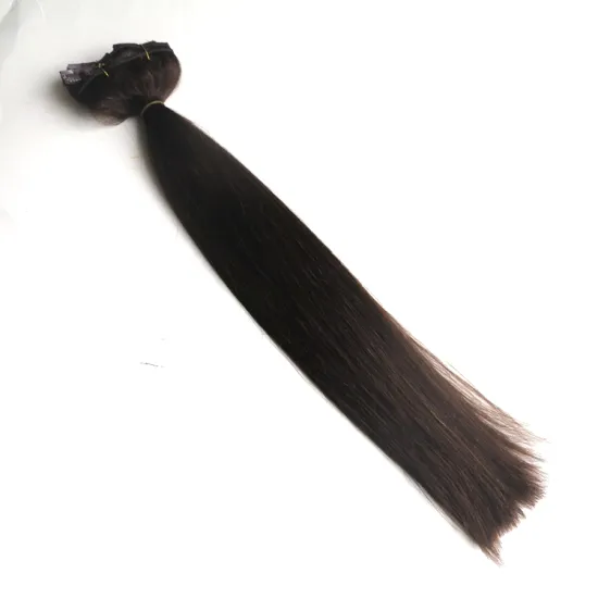 120g 10pcs/set T2/6# High grade Full head Set indian virgin remy Clip In Human Hair Extension