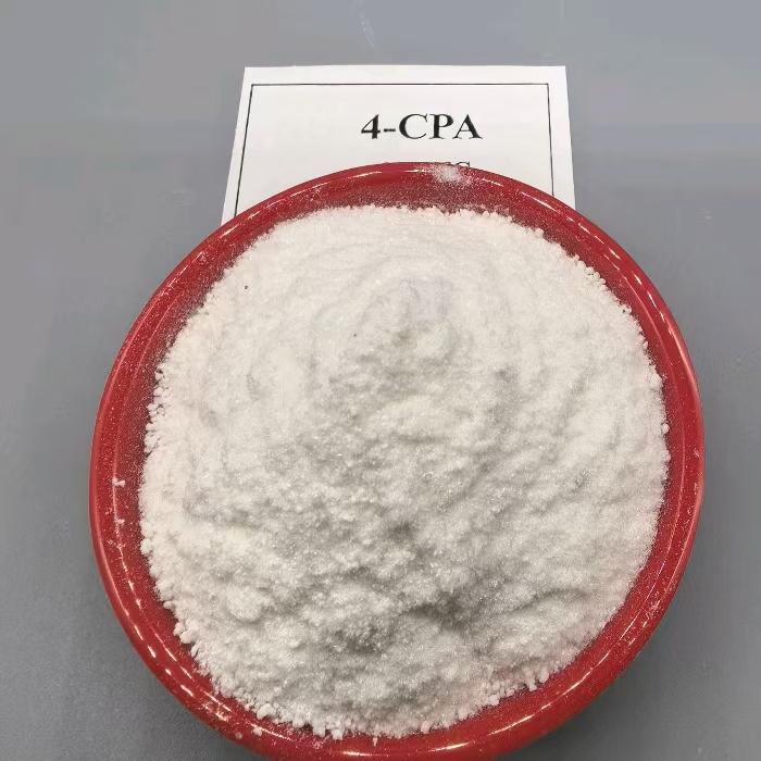 Auxin plant growth regulator 4-CPA (70)